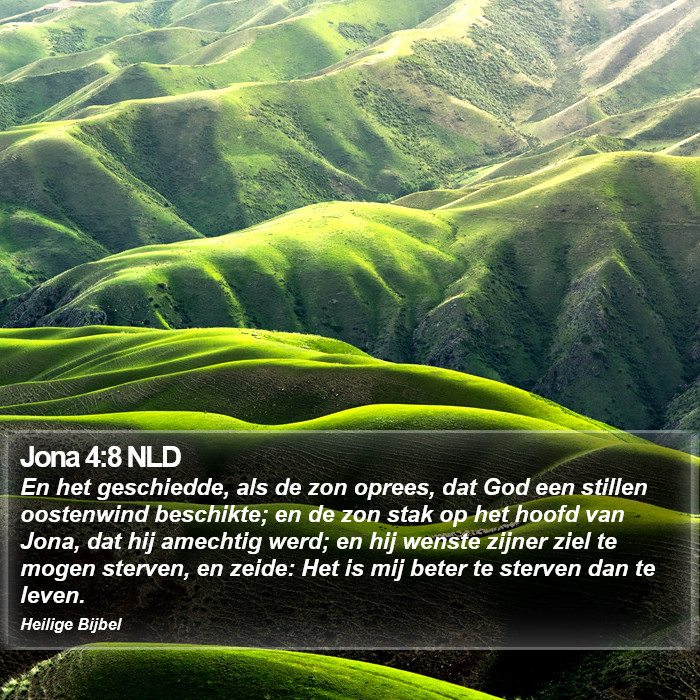Jona 4:8 NLD Bible Study