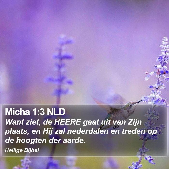 Micha 1:3 NLD Bible Study