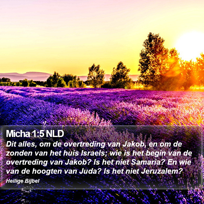 Micha 1:5 NLD Bible Study