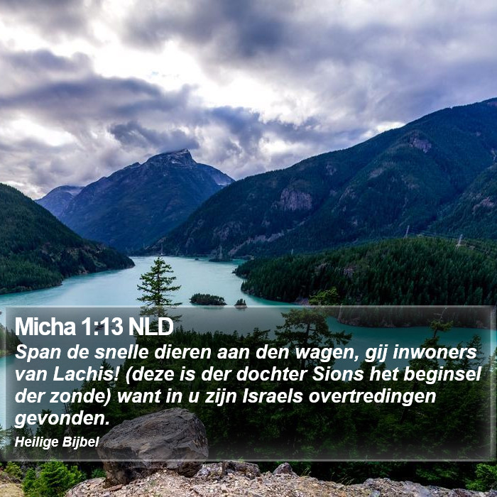 Micha 1:13 NLD Bible Study