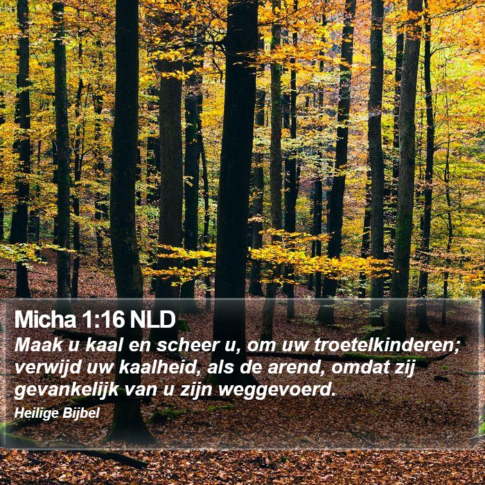 Micha 1:16 NLD Bible Study