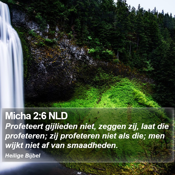 Micha 2:6 NLD Bible Study