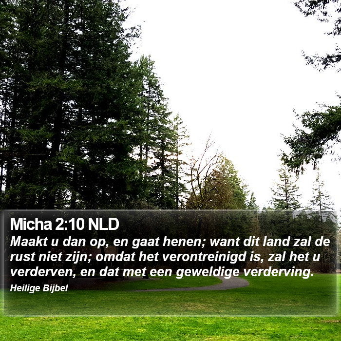 Micha 2:10 NLD Bible Study