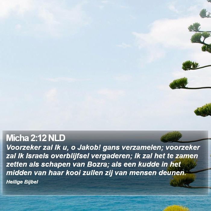 Micha 2:12 NLD Bible Study