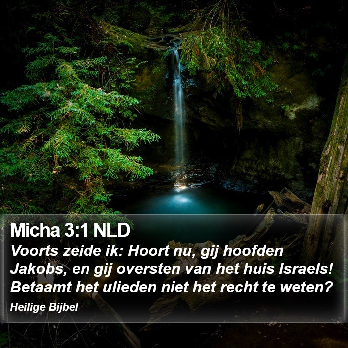 Micha 3:1 NLD Bible Study