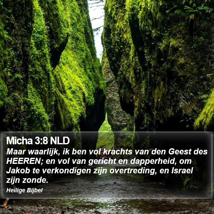 Micha 3:8 NLD Bible Study
