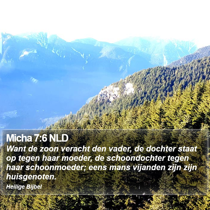 Micha 7:6 NLD Bible Study