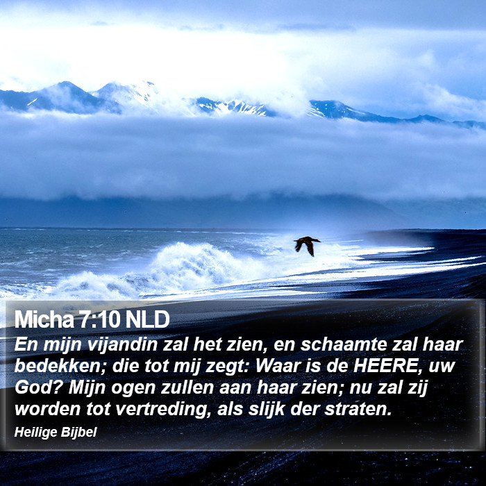 Micha 7:10 NLD Bible Study