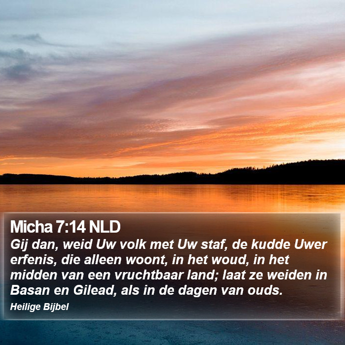 Micha 7:14 NLD Bible Study