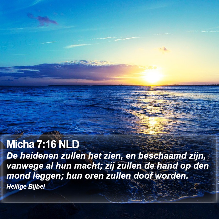 Micha 7:16 NLD Bible Study