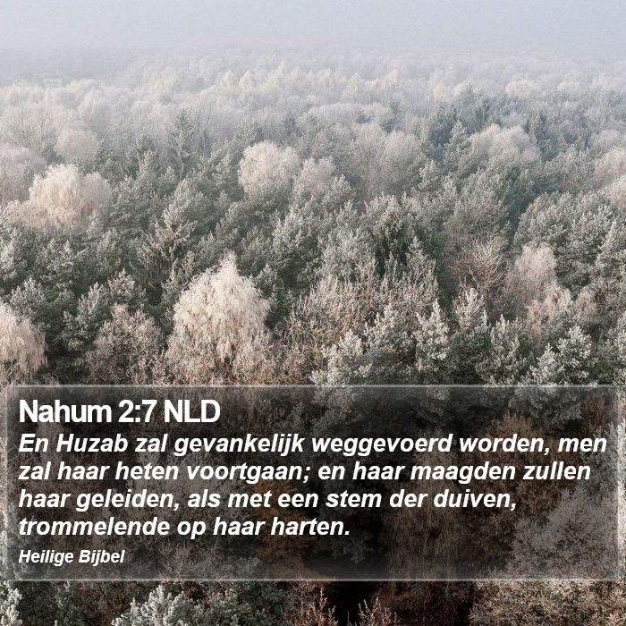 Nahum 2:7 NLD Bible Study
