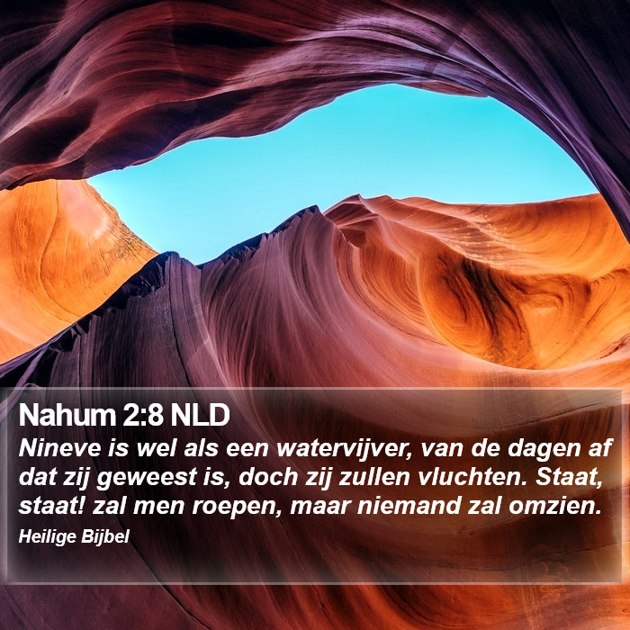 Nahum 2:8 NLD Bible Study