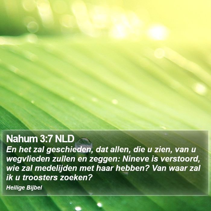 Nahum 3:7 NLD Bible Study