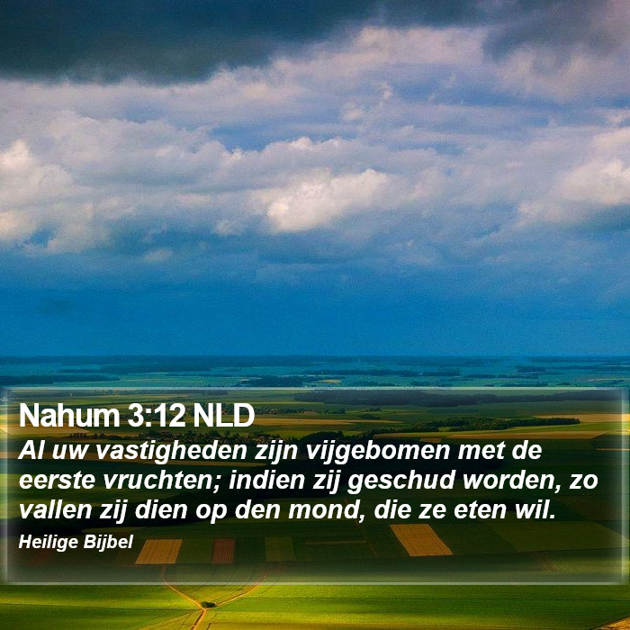 Nahum 3:12 NLD Bible Study