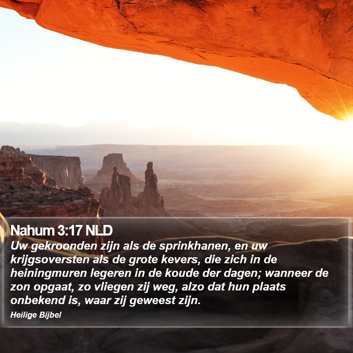 Nahum 3:17 NLD Bible Study