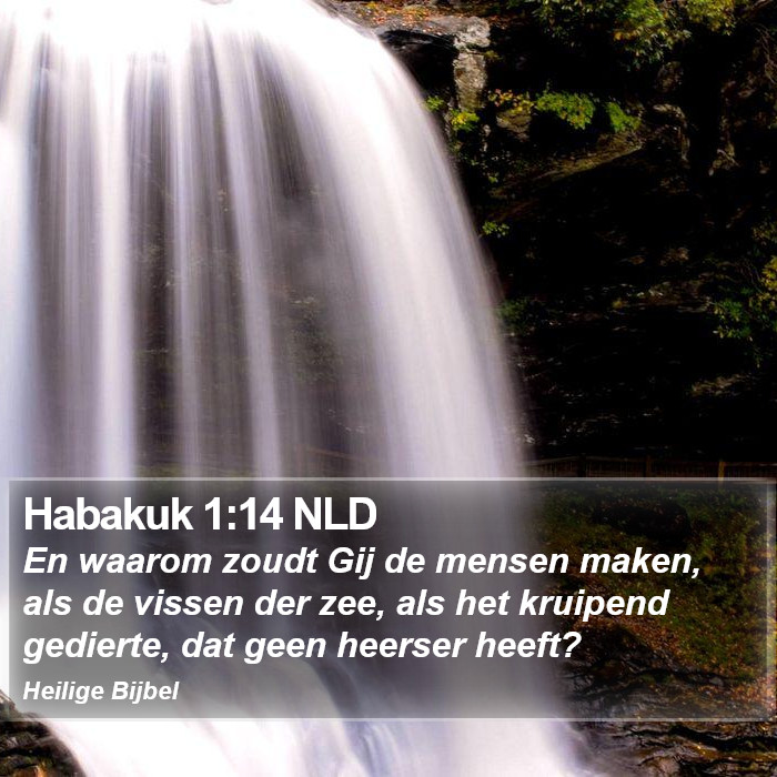 Habakuk 1:14 NLD Bible Study