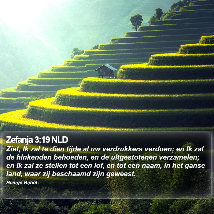 Zefanja 3:19 NLD Bible Study