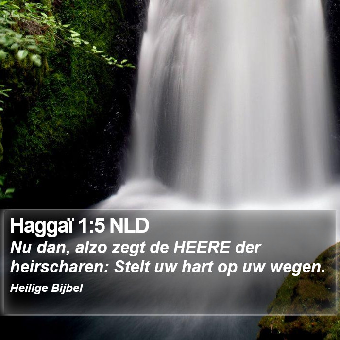 Haggaï 1:5 NLD Bible Study