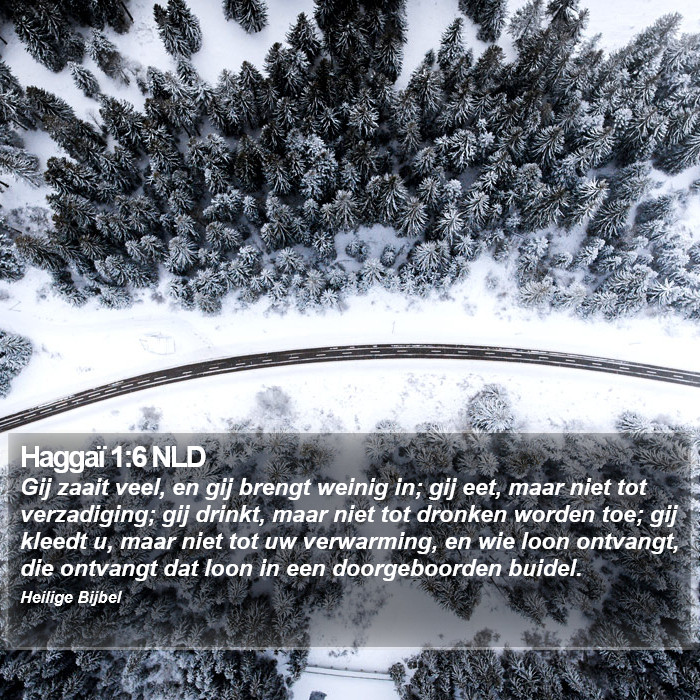 Haggaï 1:6 NLD Bible Study