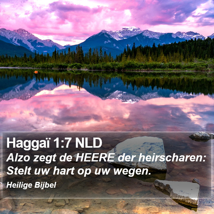 Haggaï 1:7 NLD Bible Study