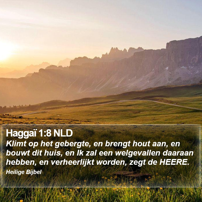 Haggaï 1:8 NLD Bible Study