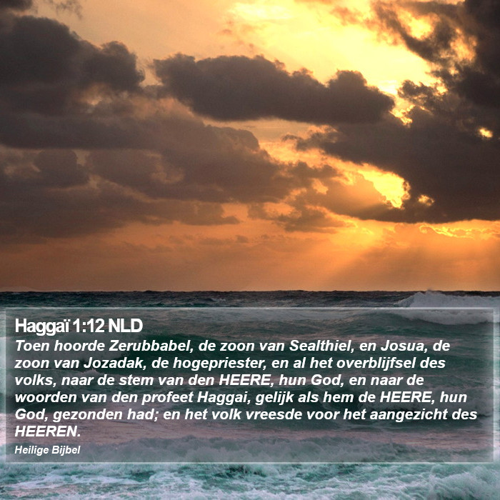 Haggaï 1:12 NLD Bible Study