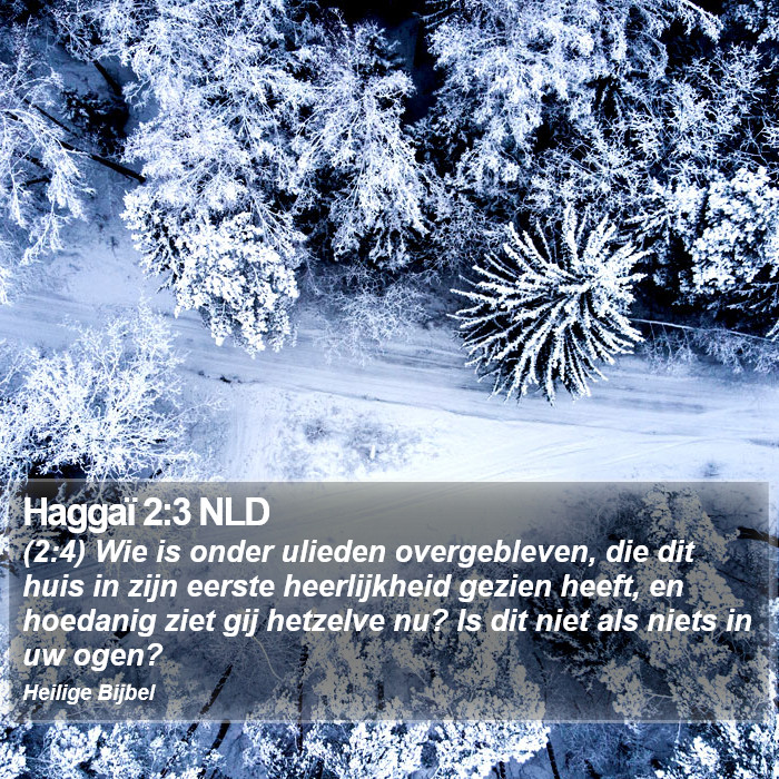 Haggaï 2:3 NLD Bible Study