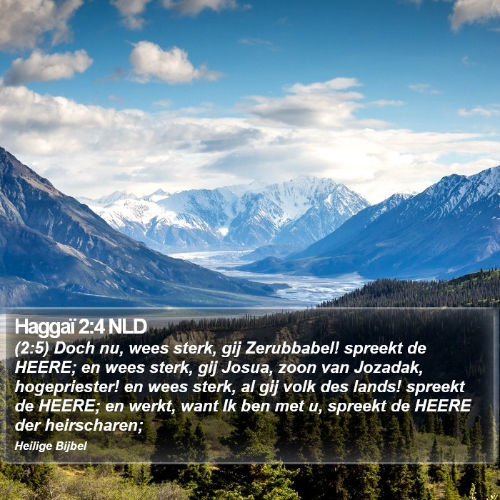 Haggaï 2:4 NLD Bible Study