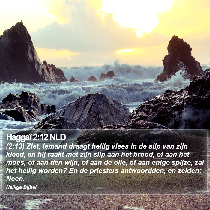 Haggaï 2:12 NLD Bible Study