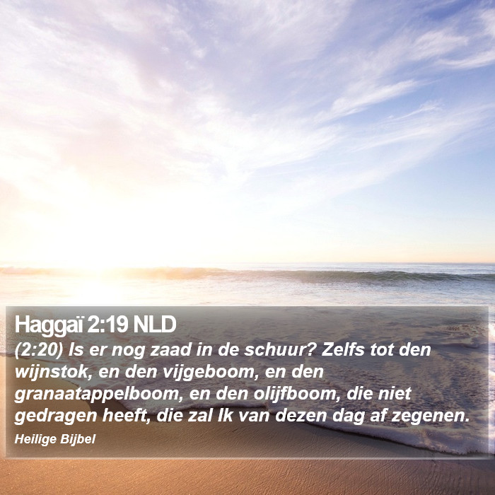 Haggaï 2:19 NLD Bible Study