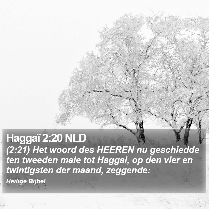 Haggaï 2:20 NLD Bible Study