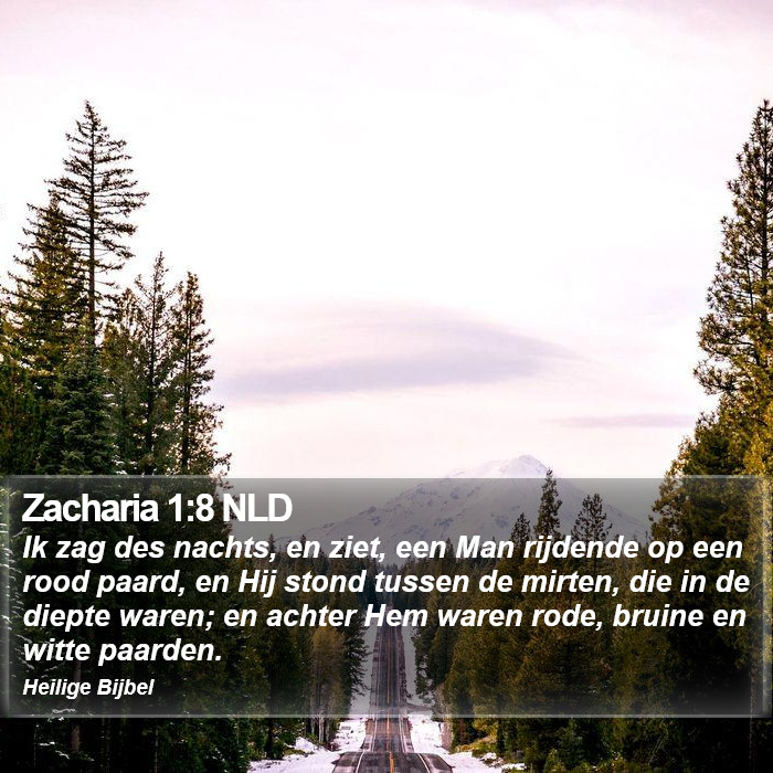 Zacharia 1:8 NLD Bible Study