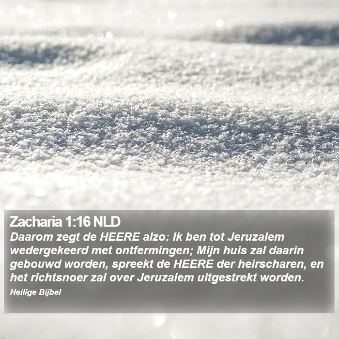 Zacharia 1:16 NLD Bible Study