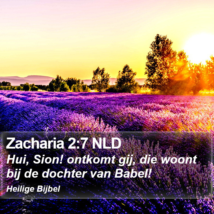 Zacharia 2:7 NLD Bible Study