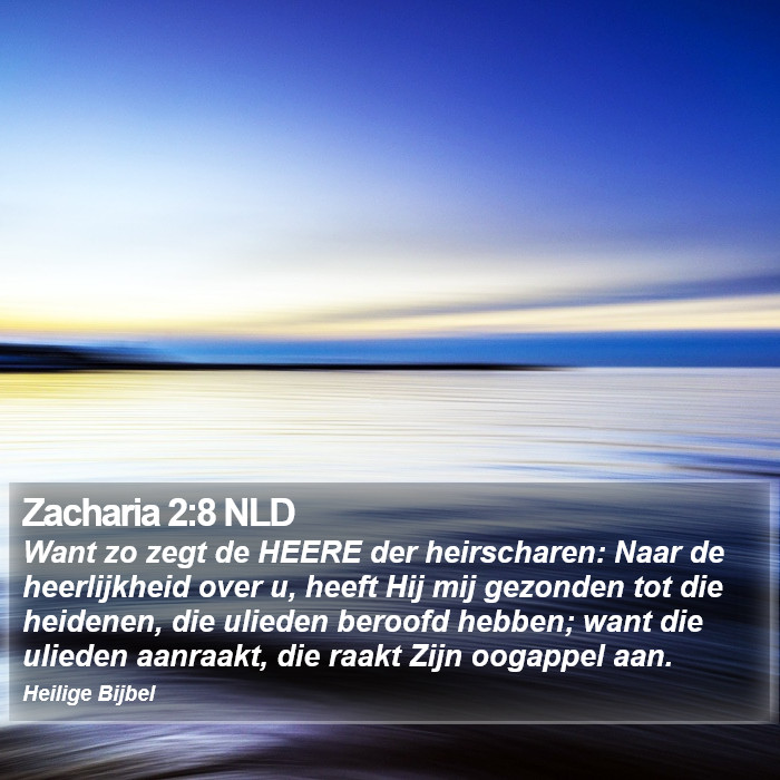 Zacharia 2:8 NLD Bible Study