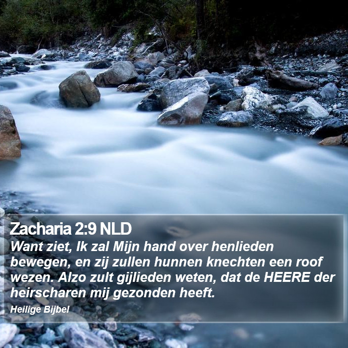 Zacharia 2:9 NLD Bible Study