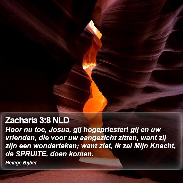 Zacharia 3:8 NLD Bible Study