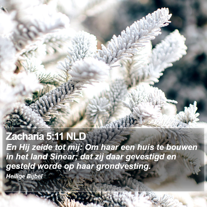 Zacharia 5:11 NLD Bible Study