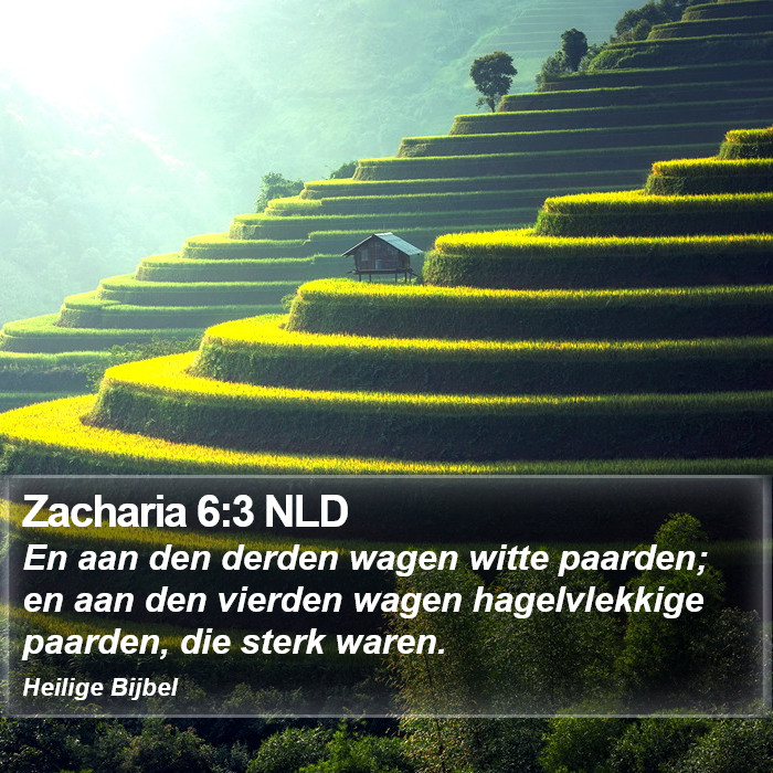 Zacharia 6:3 NLD Bible Study