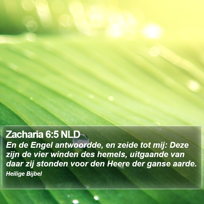 Zacharia 6:5 NLD Bible Study