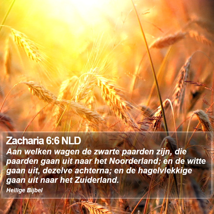 Zacharia 6:6 NLD Bible Study