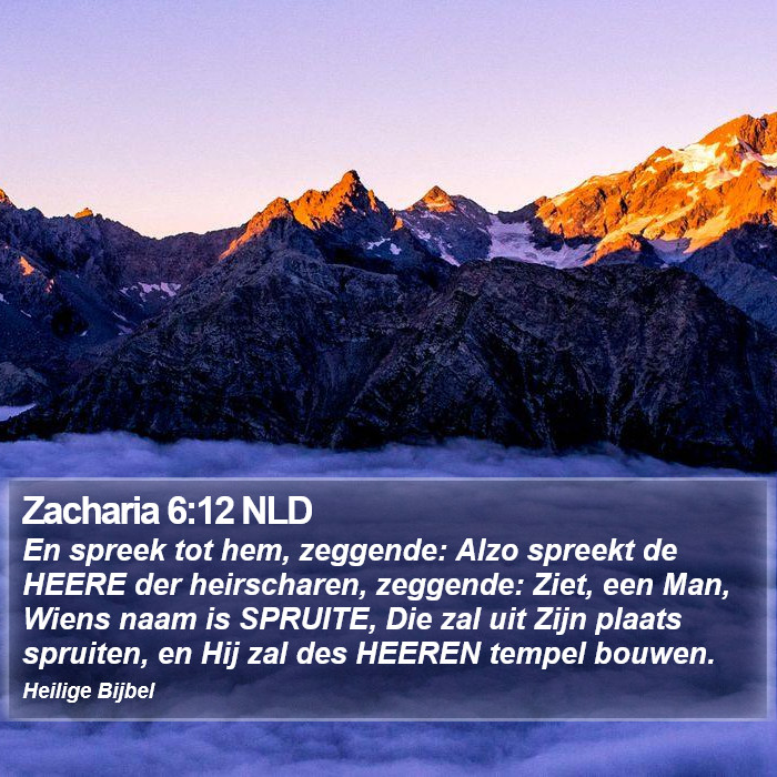 Zacharia 6:12 NLD Bible Study