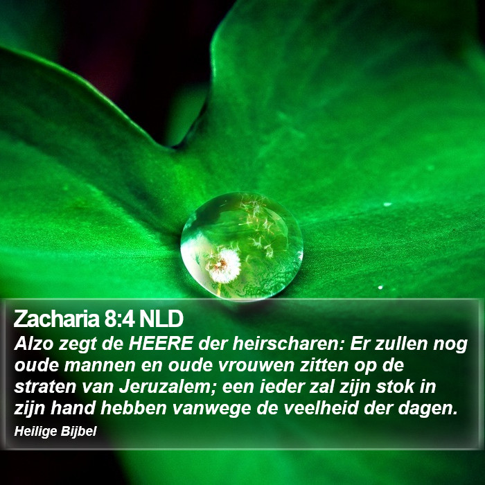 Zacharia 8:4 NLD Bible Study