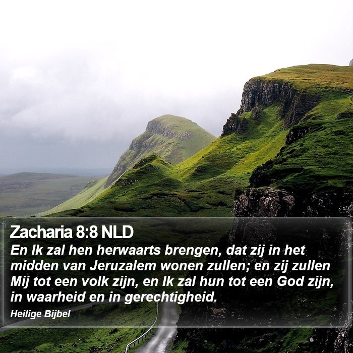 Zacharia 8:8 NLD Bible Study