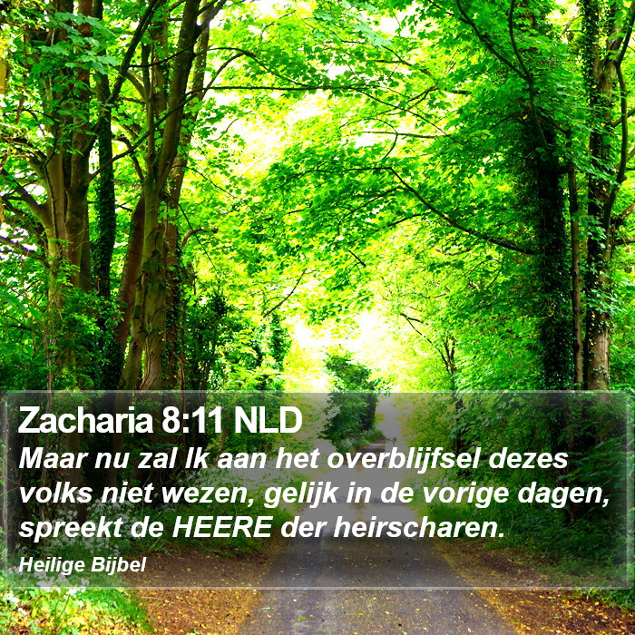 Zacharia 8:11 NLD Bible Study