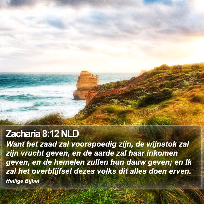 Zacharia 8:12 NLD Bible Study