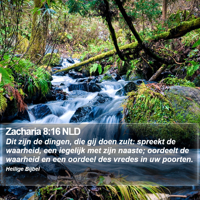Zacharia 8:16 NLD Bible Study