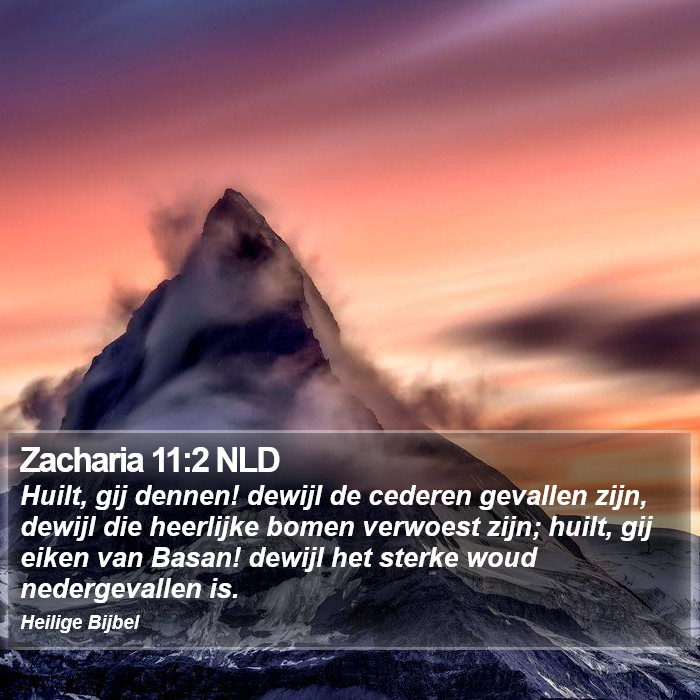 Zacharia 11:2 NLD Bible Study