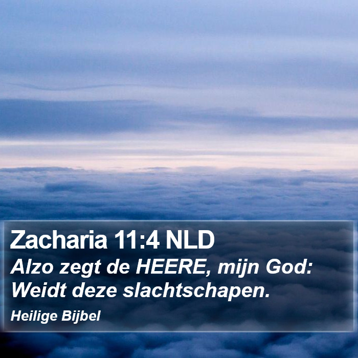 Zacharia 11:4 NLD Bible Study