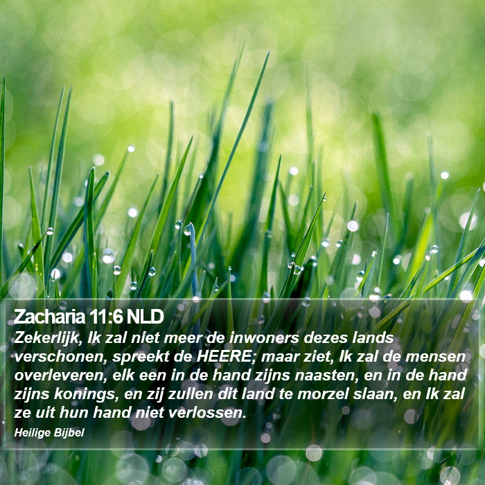 Zacharia 11:6 NLD Bible Study